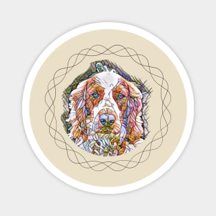 Springer spaniel (red and white) Magnet